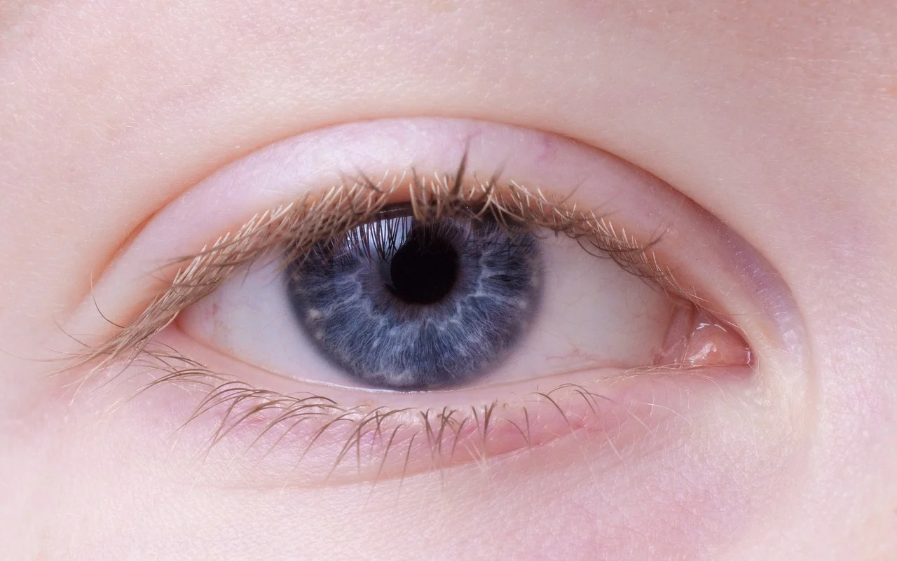 You are currently viewing Human Eye and Colourful world Quiz