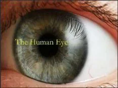 Read more about the article Human Eye