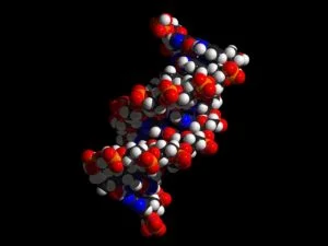Read more about the article The acronym of DNA stands for Deoxyribonucleic acids