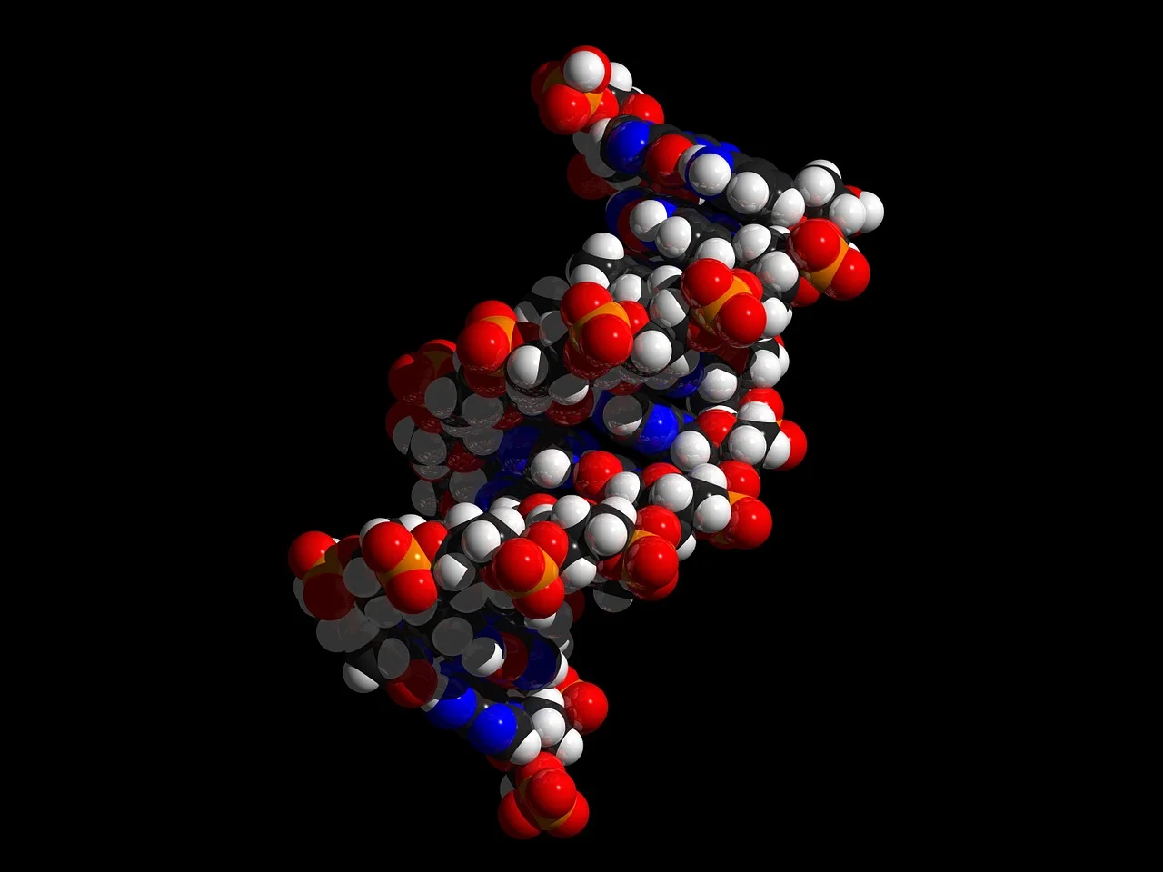 Read more about the article The acronym of DNA stands for Deoxyribonucleic acids