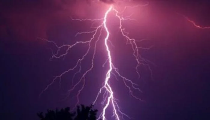 Read more about the article Electrostatics Test