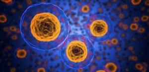 Read more about the article Launching Our New ScienceteenApp