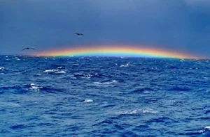 Read more about the article Bermuda Triangle