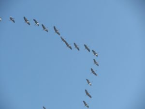 Read more about the article Natural Language Processing