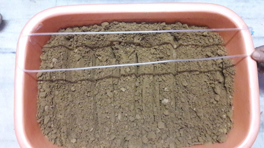 Drip Irrigation System 15 Scienceteen